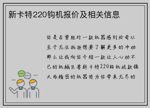 新卡特220钩机报价及相关信息