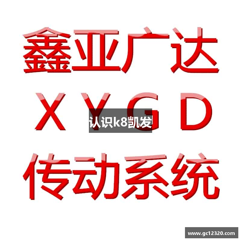 认识k8凯发
